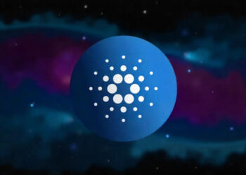 Cardano's Network Activity Surges Despite Price Volatility