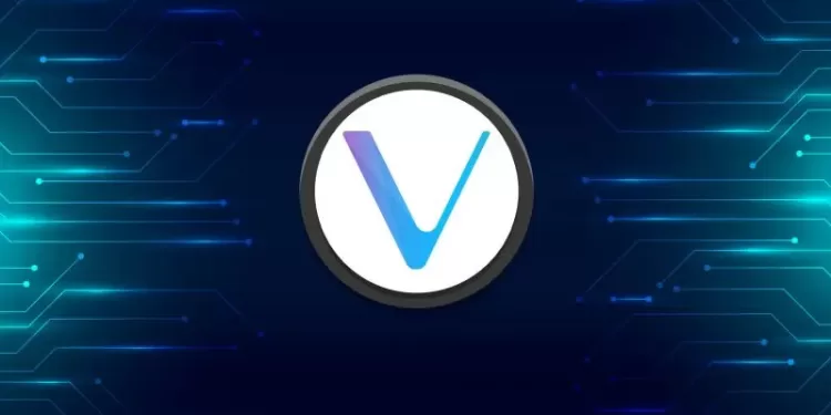 Will Your Altcoins Follow VET's Pattern During This Bull Market
