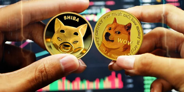 SHIB and DOGE Lead the Meme Coin